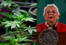Olga Sánchez confía que se apruebe el uso lúdico de la marihuana en diciembre