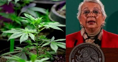 Olga Sánchez confía que se apruebe el uso lúdico de la marihuana en diciembre
